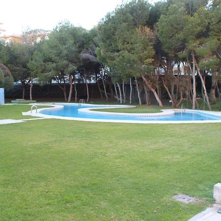 New Apartment With Sea View Of Andrew And Natallia Campoamor Extérieur photo