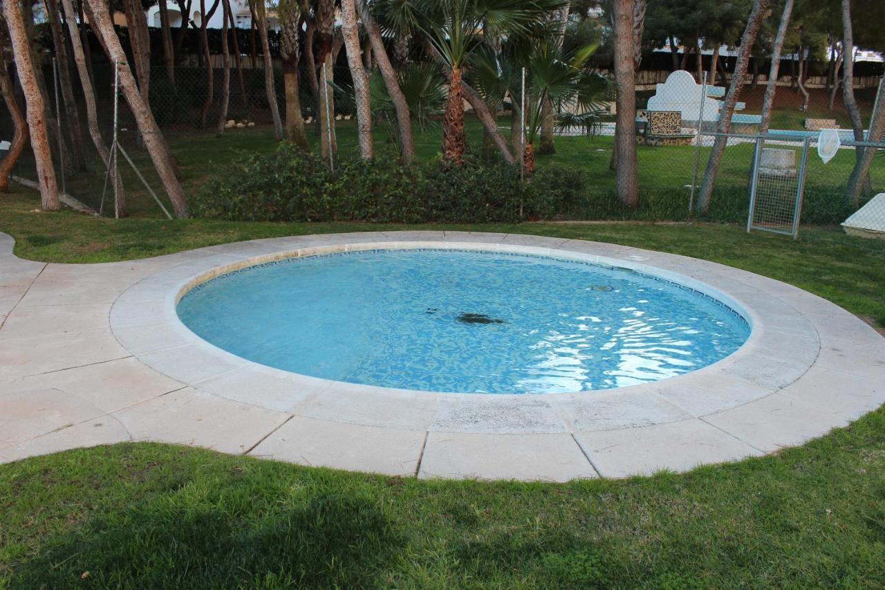 New Apartment With Sea View Of Andrew And Natallia Campoamor Extérieur photo